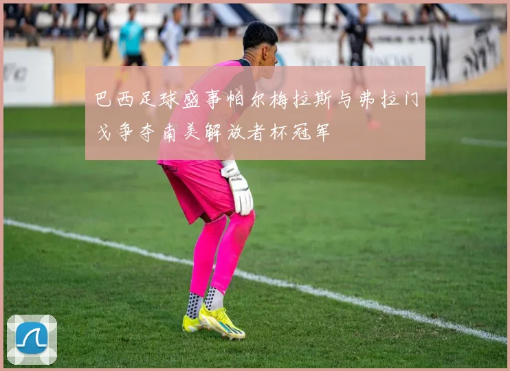 巴西足球盛事帕尔梅拉斯与弗拉门戈争夺南美解放者杯冠军